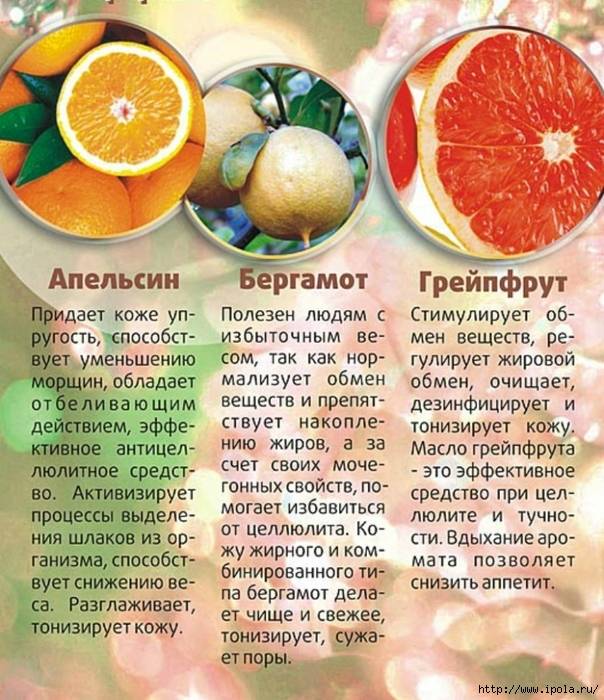 Эфирное масло грейпфрута для лица возвращает молодость