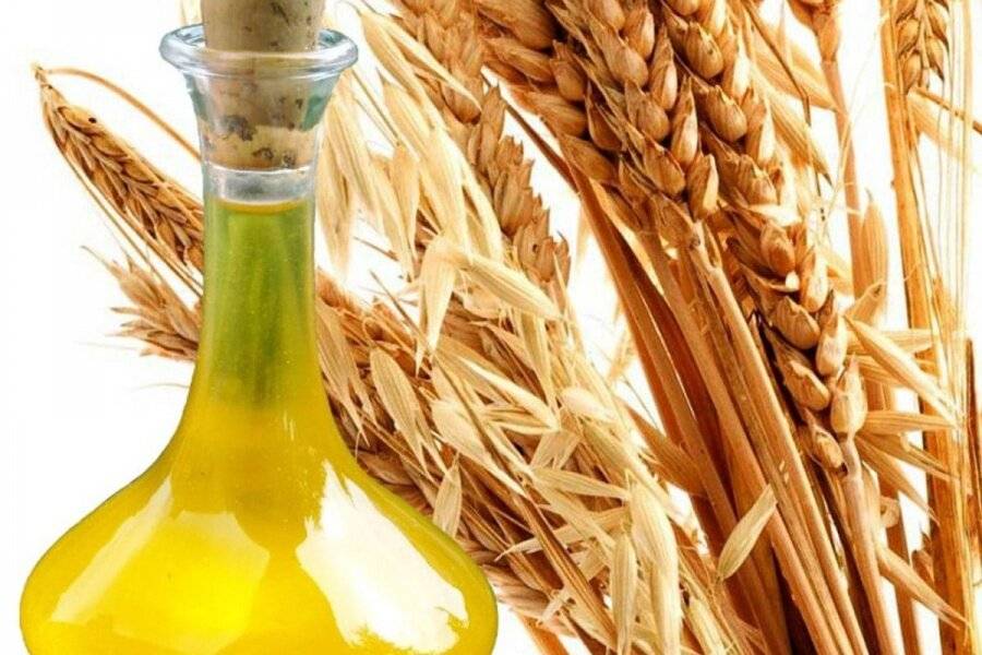 Масло зародышей пшеницы: полезные свойства для волос и рецепты масок для всех случаевкапелита