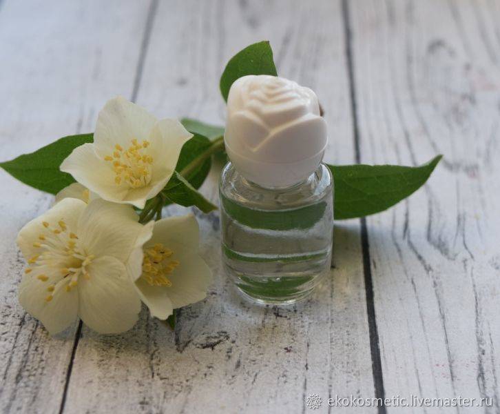 Новинки женских духов 2021: обзор топовых ароматов и правила выбора парфюма