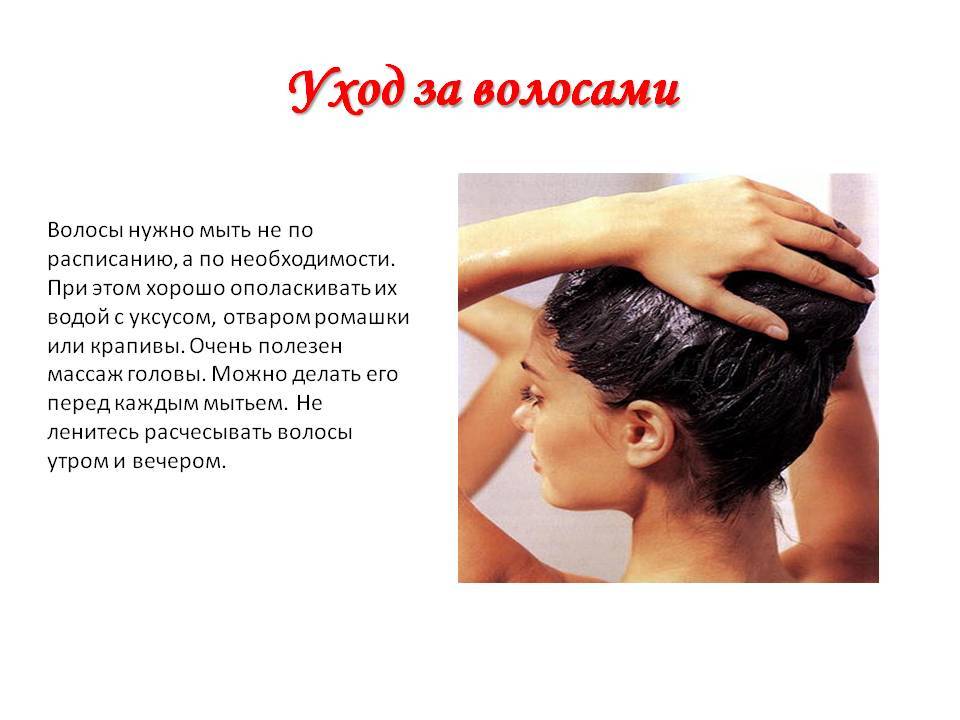 ▷ как мыть голову после пересадки волос - clinicana