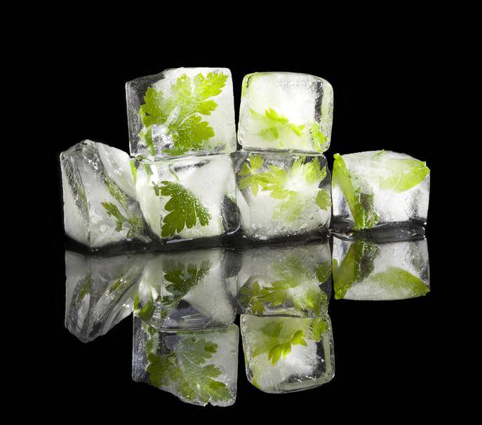 Кубики льда из алоэ вера для омоложения кожи