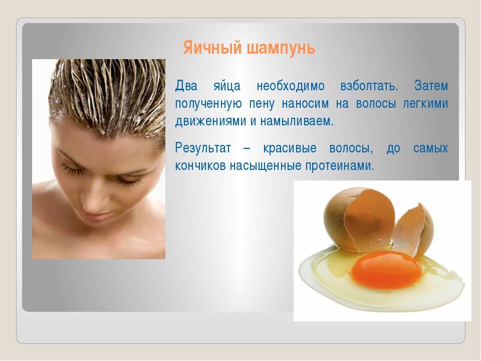 Маски для волос из яиц: рецепты, отзывы