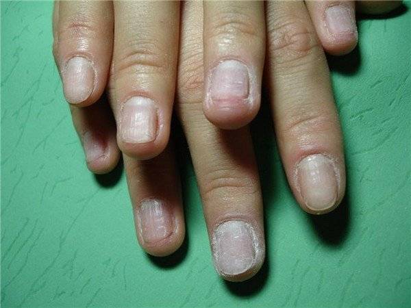 Можно ли нарощенные ногти подстричь