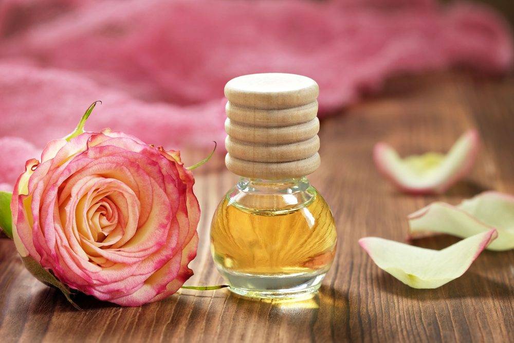 Розовое масло и его полезные свойства. как правильно применять масло розы для красоты и здоровья.