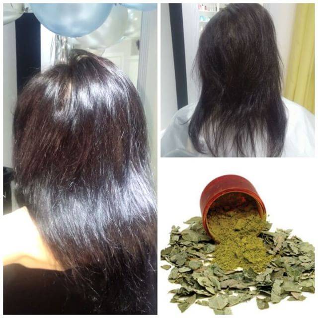 Бесцветная хна для волос: польза и вред, маски для волос, фото, отзывы