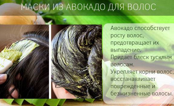 Маска для волос из авокадо – домашние рецепты, польза и фото результатов