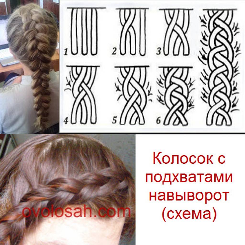 Как плетут колоски? как плести колосок самой себе? косичка-колосок: фото :: syl.ru
