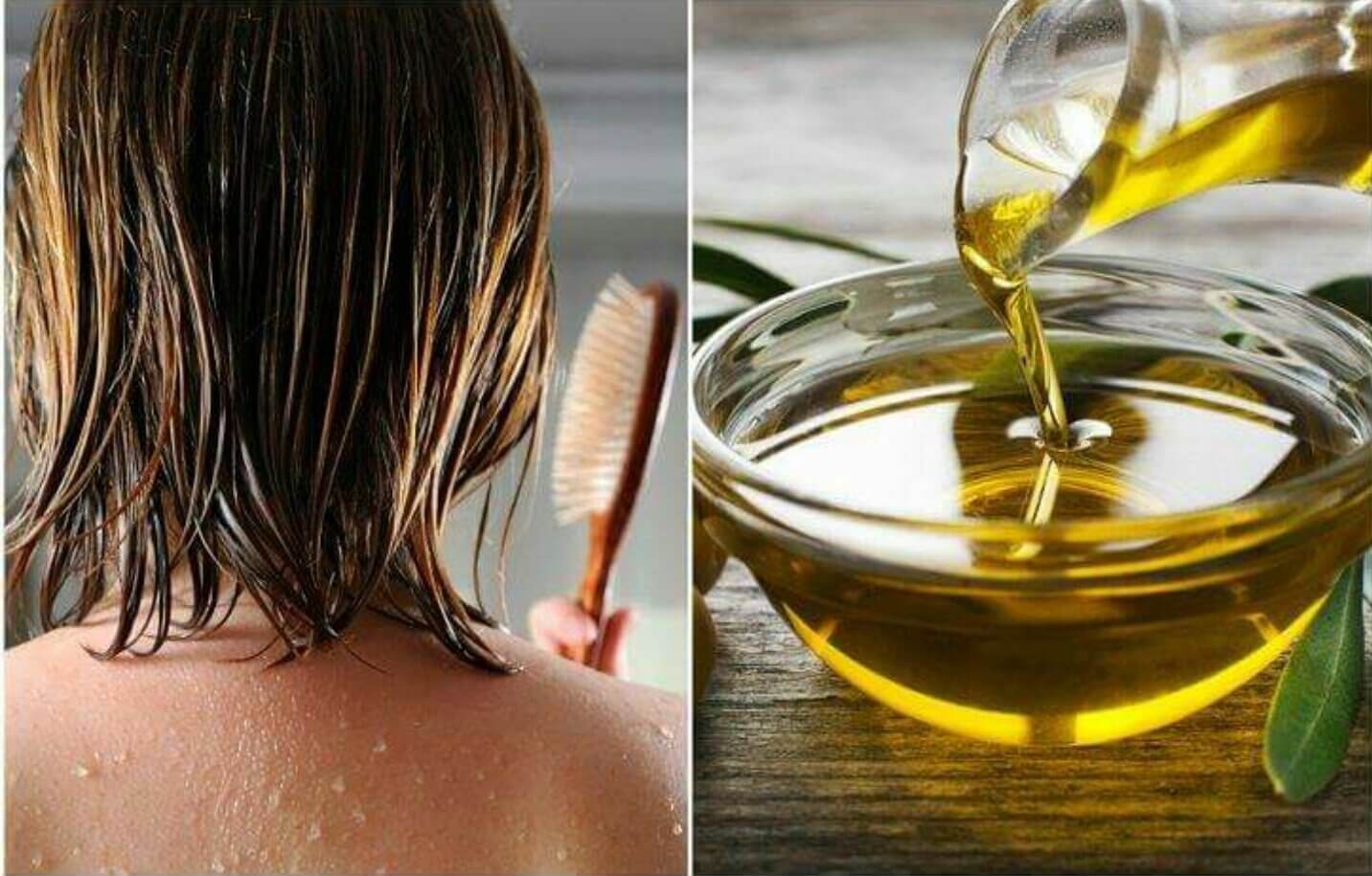 Применение оливкового масла для волос