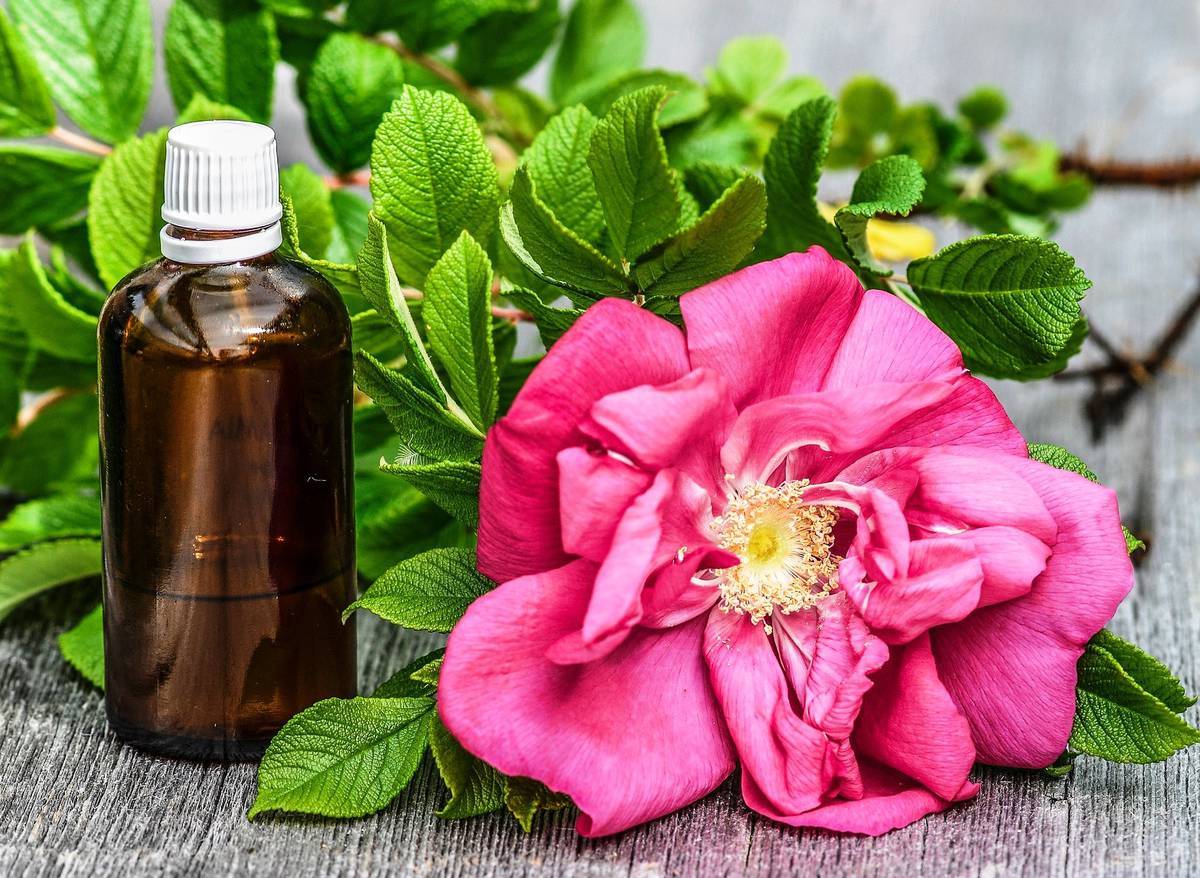 Эфирное масло розового дерева: свойства и применение для лица и волос