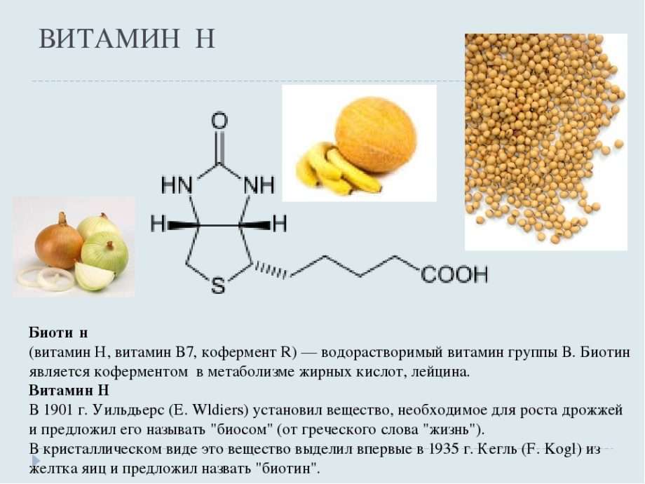 Для чего нужен организму витамин В 7(биотин) и в каких продуктах он содержится
