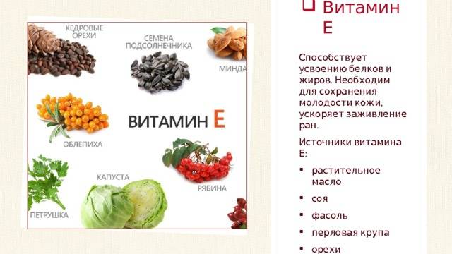 Содержание а и е в продуктах, где содержатся витамины a и e