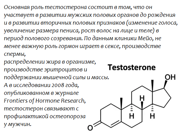 Медики выяснили, какие продукты снижают выработку тестостерона у мужчин