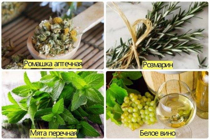 Розмарин: польза, вред и противопоказания | food and health