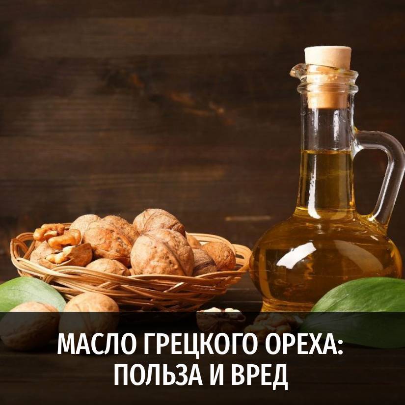 Масло грецкого ореха: польза и вред, приготовление, рецепты