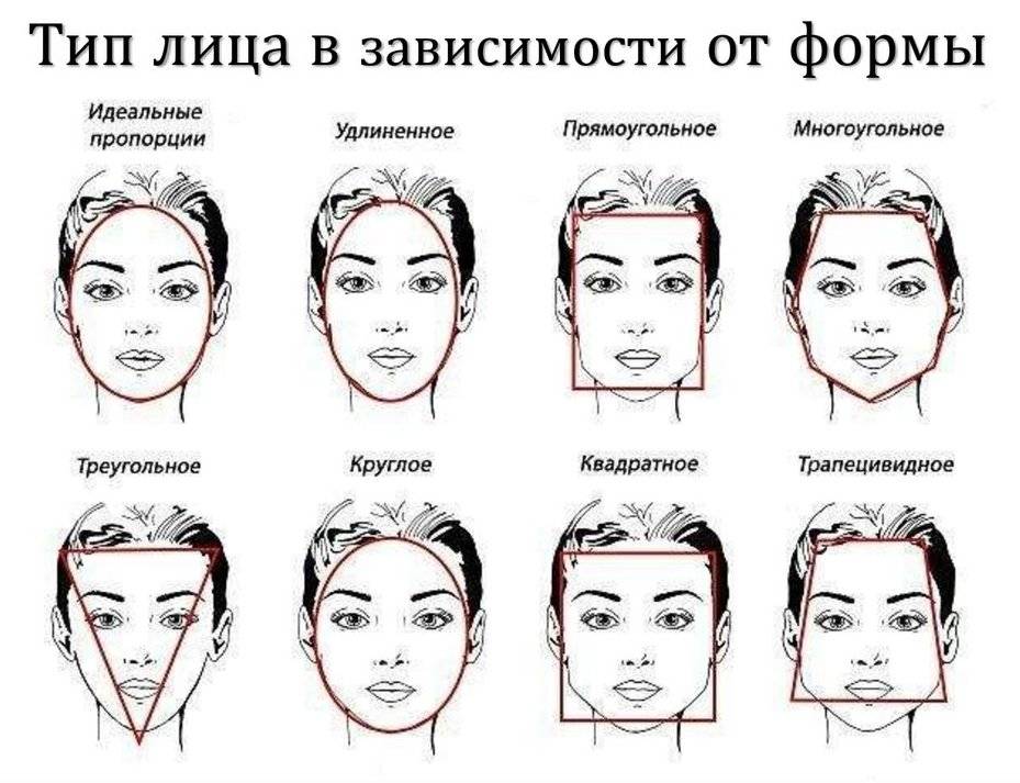 Как понять, какая форма бровей тебе подходит: подбор по типу лица