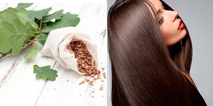 Кора дуба для волос: рецепты, отзывы, фото до и после