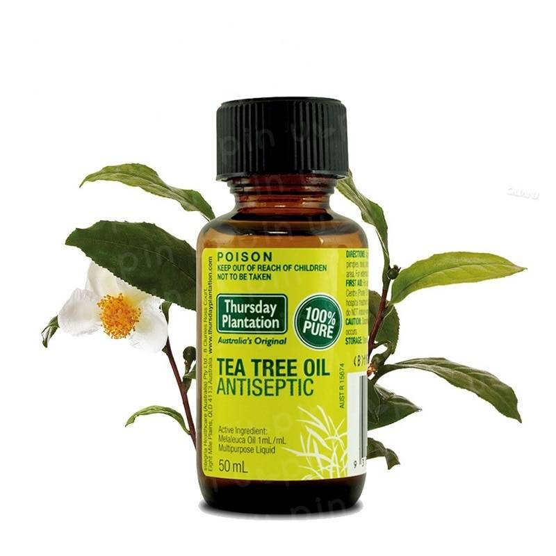 Эфирное масло чайного дерева для волос: способы применения и отзывы