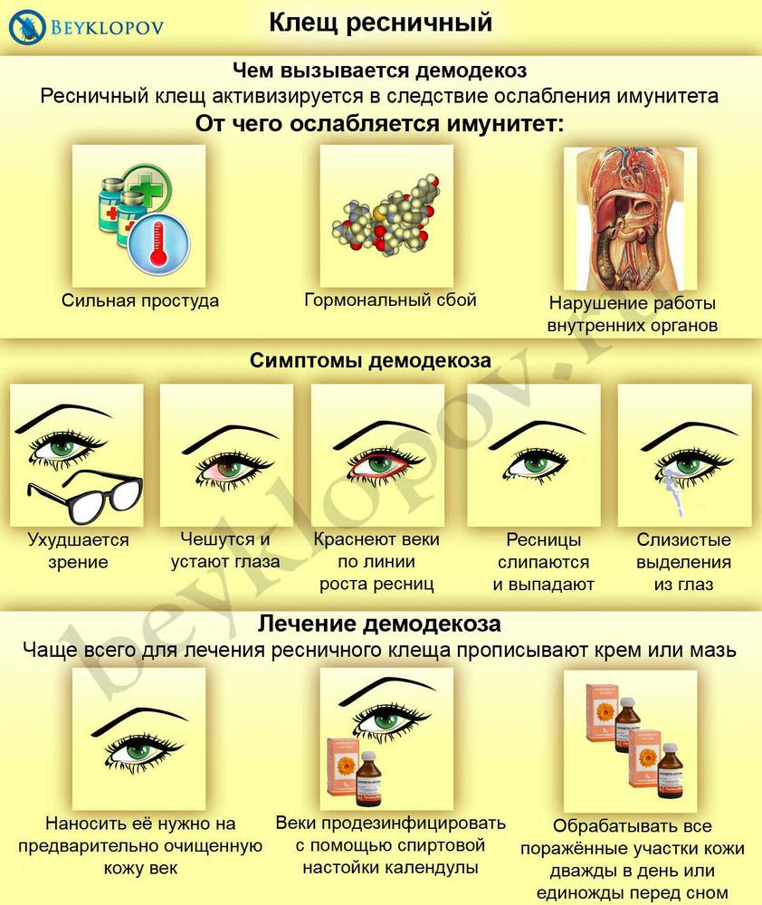 Демодекс лечение схема