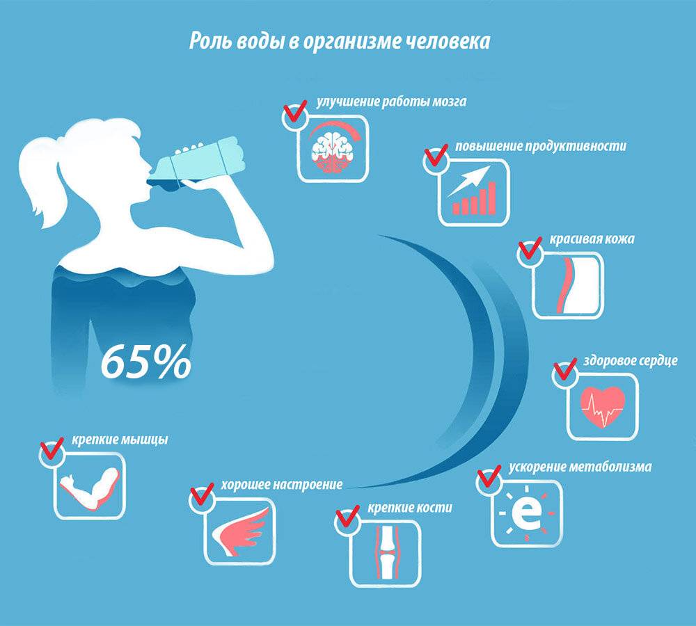 Питьевой режим зимой и летом | статьи о воде - водабриз.ру
