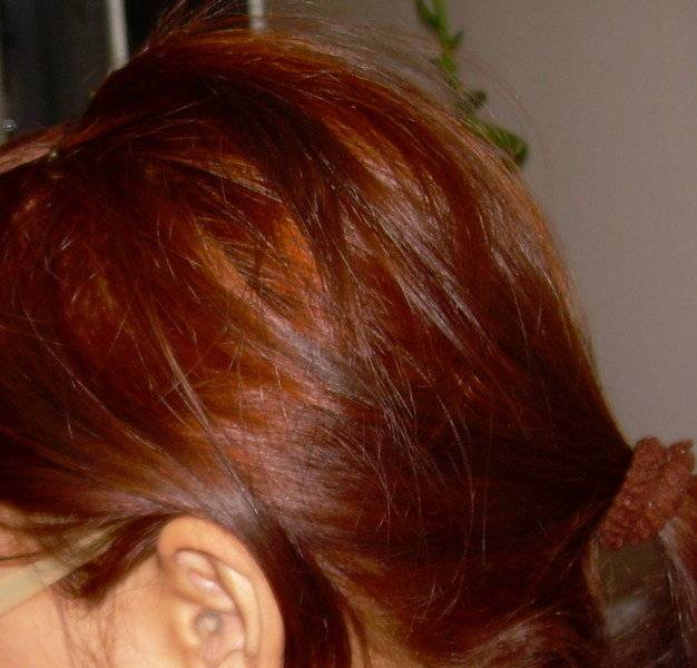 Как выбрать хну и правильно покрасить волосы, чтобы не было разочарований