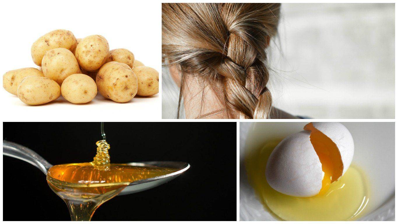 Маски с яйцом для волос в домашних условиях: топ-30 рецептов