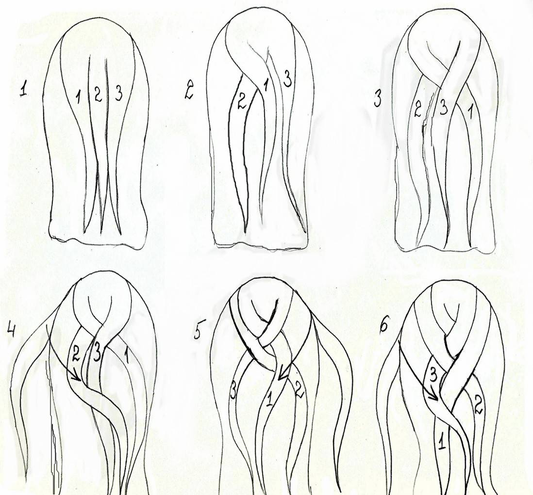Пошаговая инструкция плетения колоска + 3 варианта оформления. колосок прическа — техника выполнения и советы как сделать для коротких, средних и длинных волос (125 фото + видео)