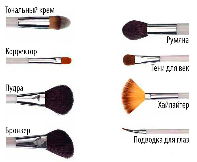 Кисти для макияжа и их предназначение: виды и разновидности, как называется кисточка для теней, название и их применение, какие бывают косметические для лица