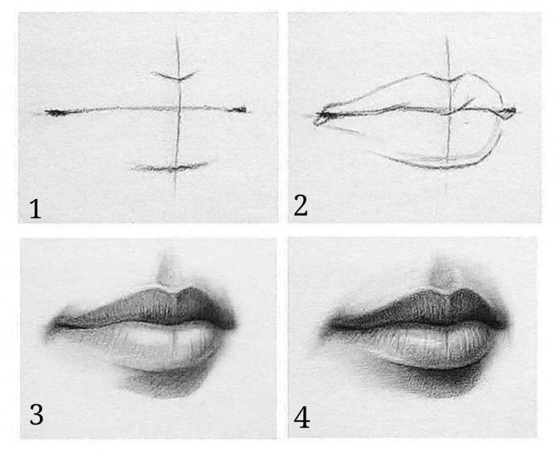 Как нарисовать губы карандашом :: syl.ru