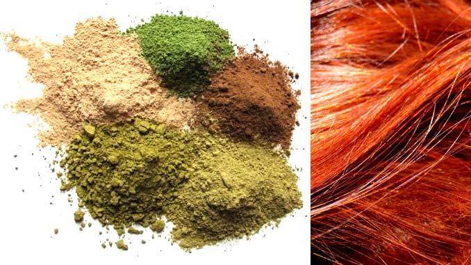 Выбор натуральных красок для седых и нормальных волос