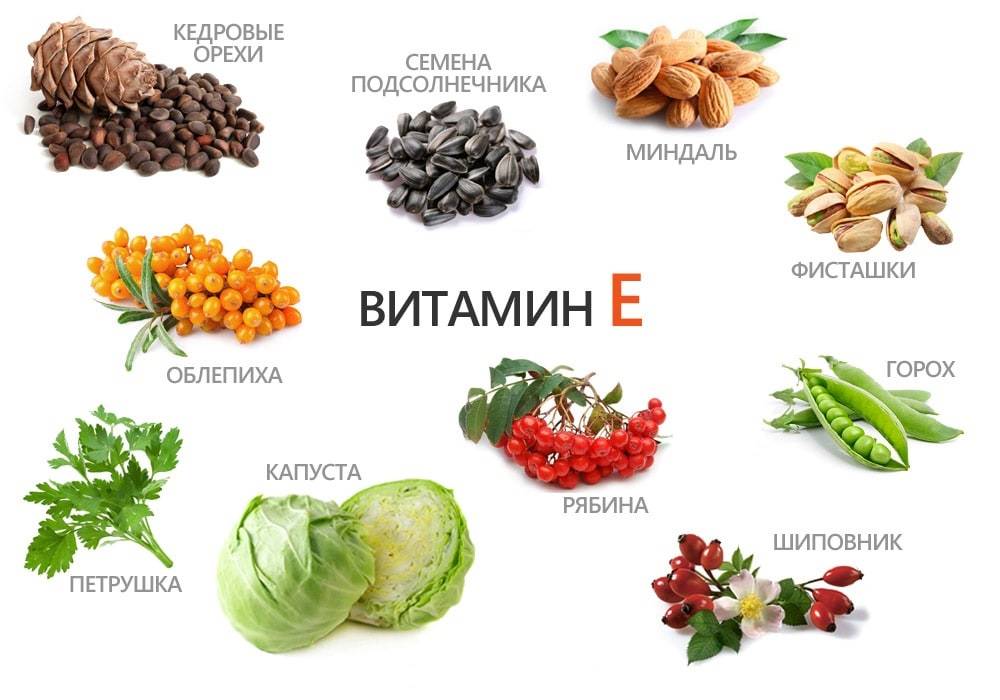 В каких продуктах содержится витамин е – таблица, топ-10 продуктов, где больше всего токоферола