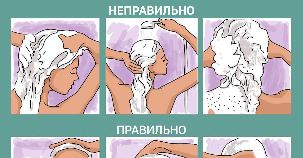Как часто можно мыть голову шампунем — по типу волос