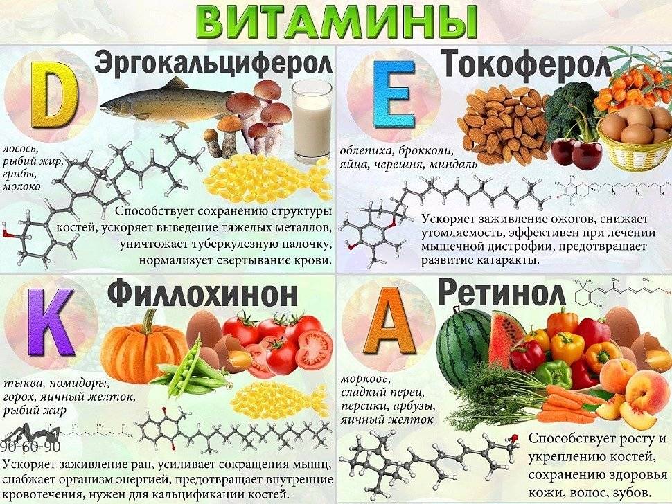 Полное руководство по применению витамина с для организма