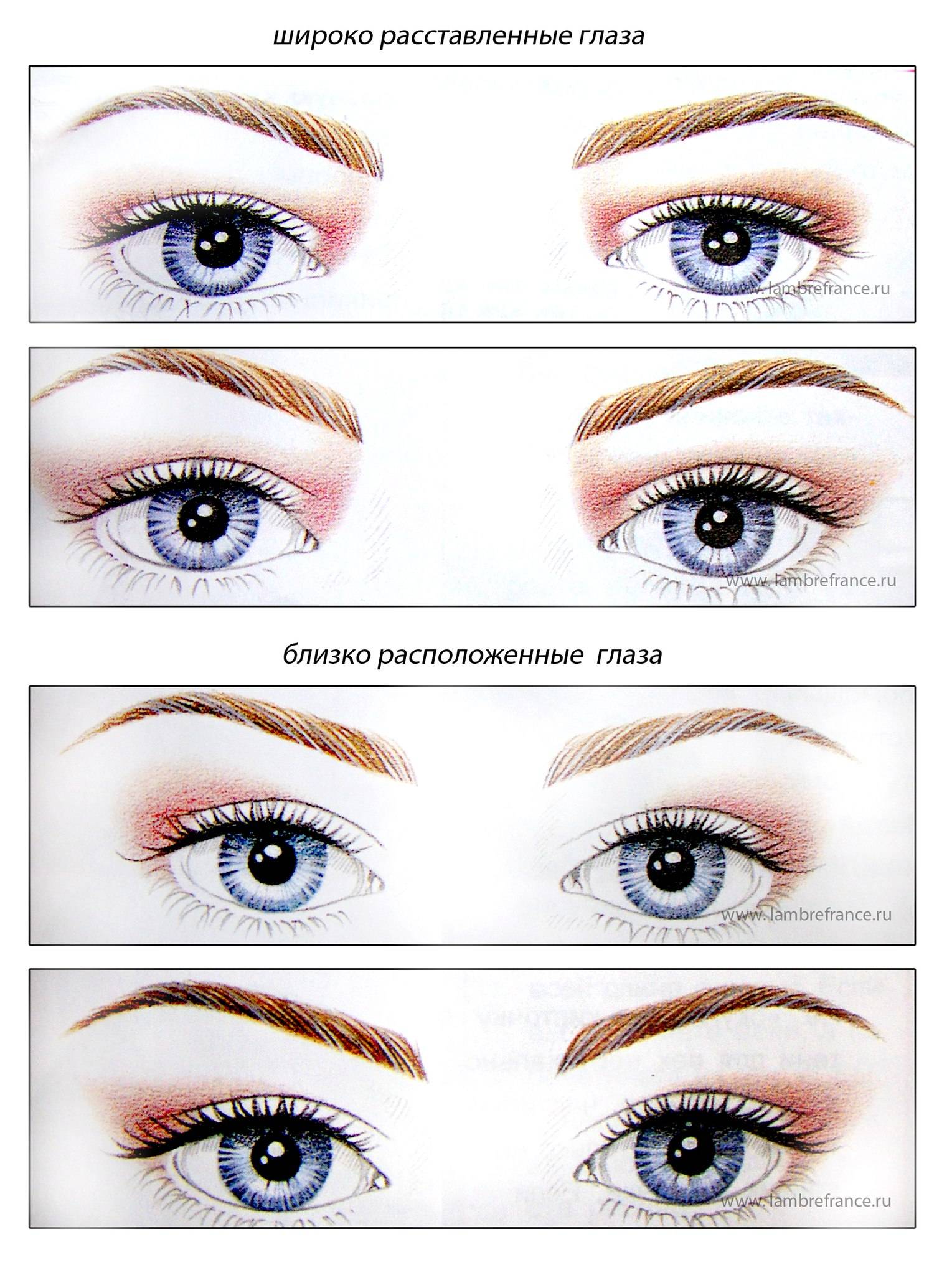 Виды век. Разновидности форм глаз. Типы расположения глаз. Схемы макияжа для разных типов глаз. Узкая форма глаз.