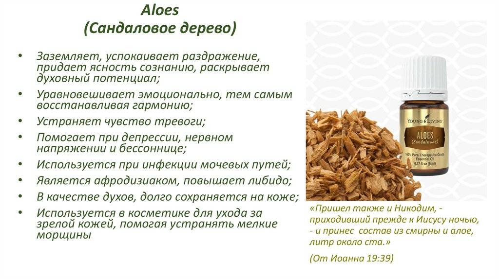 Масло сандалового дерева: свойства, применение , рецепты