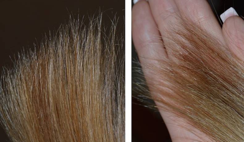 Что такое флюиды для волос, как их правильно выбрать и применять?