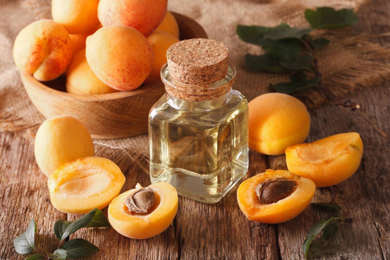 Масло абрикосовых косточек - полезные и опасные свойства