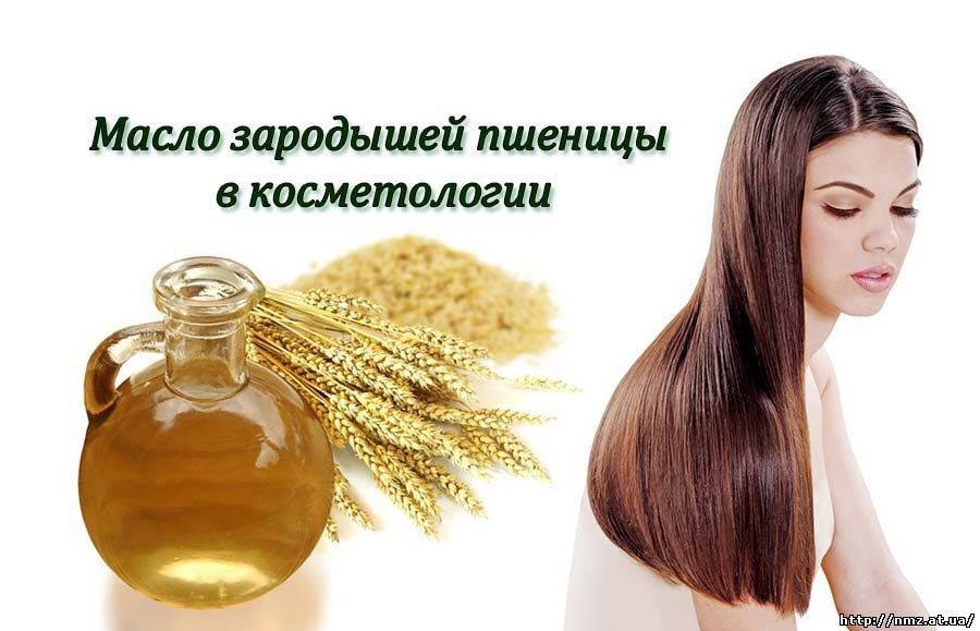 Масло зародышей пшеницы для лица: полезные рецепты для всех типов кожи
