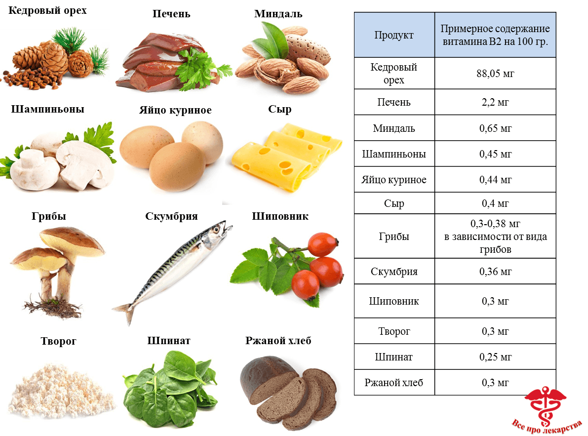Витамин u - витамин здоровья. для чего он нужен организму. в каких продуктах содержится