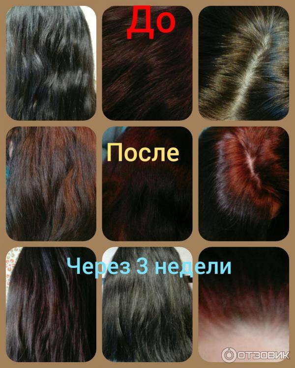 Басма для волос в помощь брюнеткам: плюсы и минусы природной краски