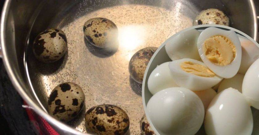 Маски из перепелиных яиц для лица: секреты приготовления дома