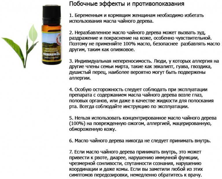 Эфирное масло чайного дерева для кожи лица: применение в домашних условиях. рецепты масок - onwomen.ru