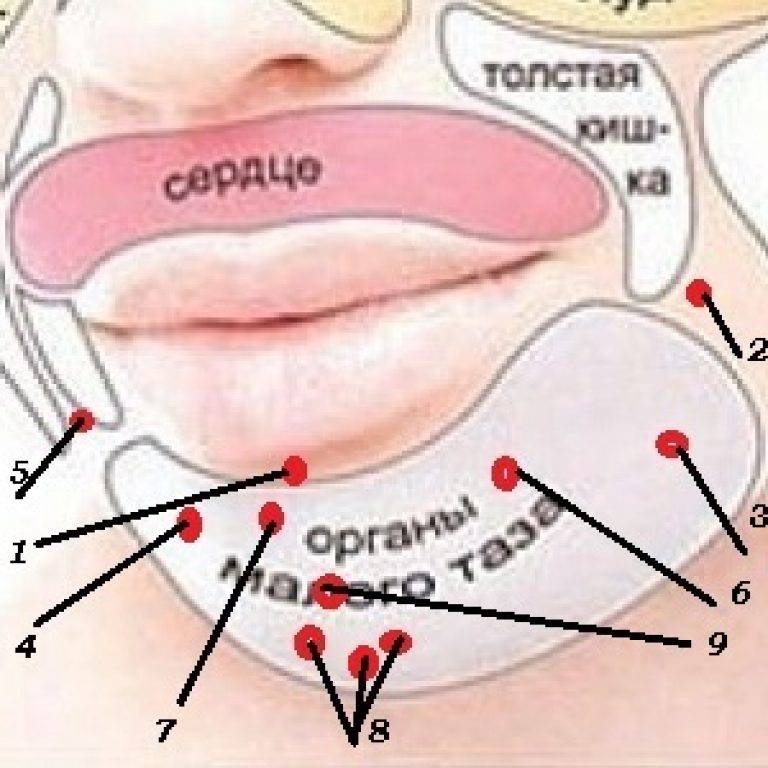 Болезни полости рта: грибковые и вирусные, методы лечения и их профилактика