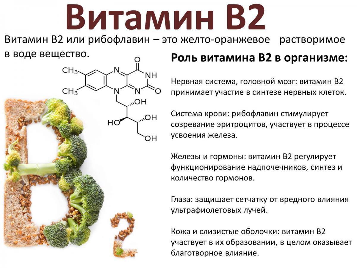 Витамин b3. польза. свойства. вред.