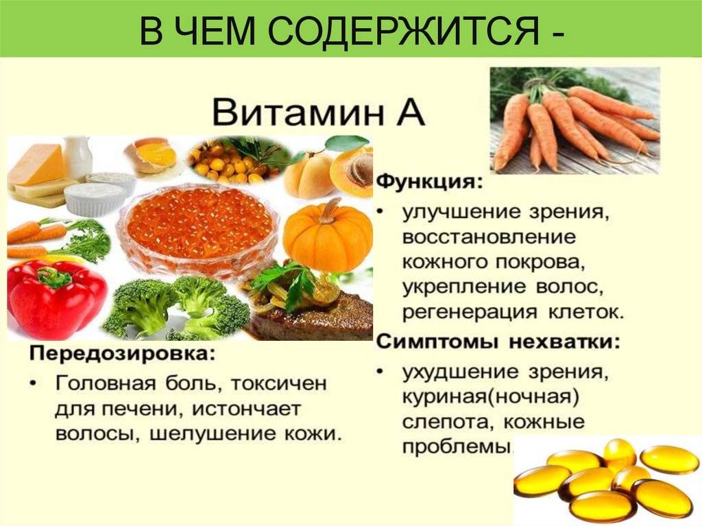Где содержится витамин к? список продуктов :: syl.ru