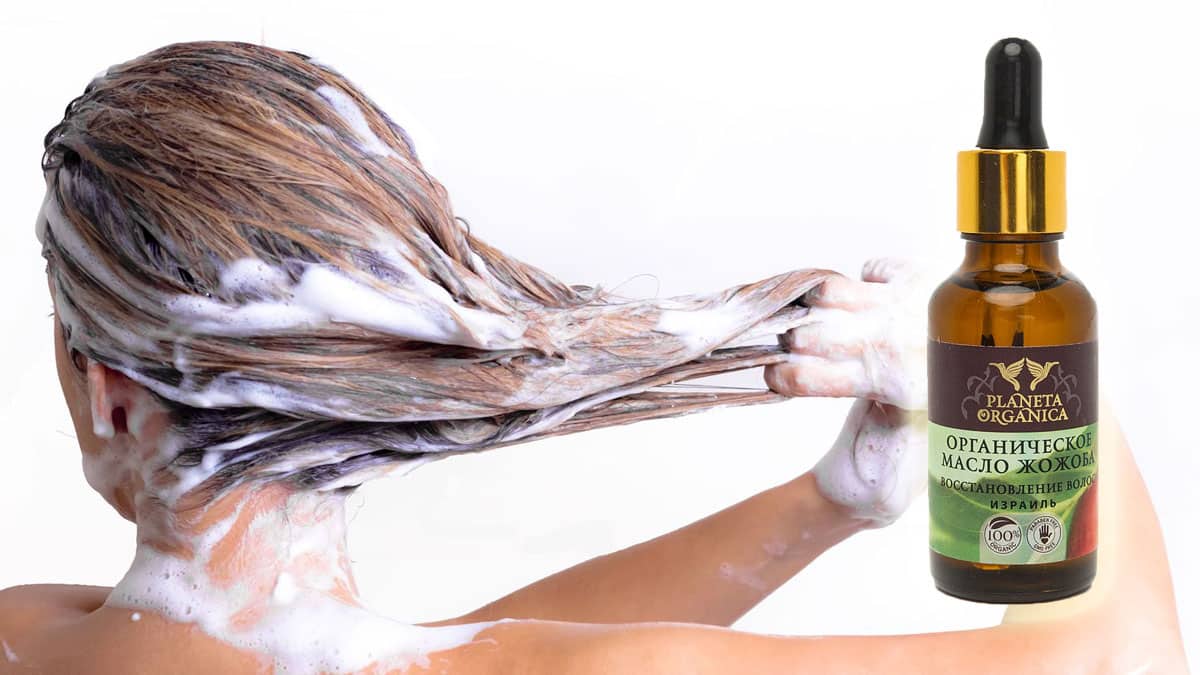 Уникальное масло жожоба – жидкий воск для волос и кожи