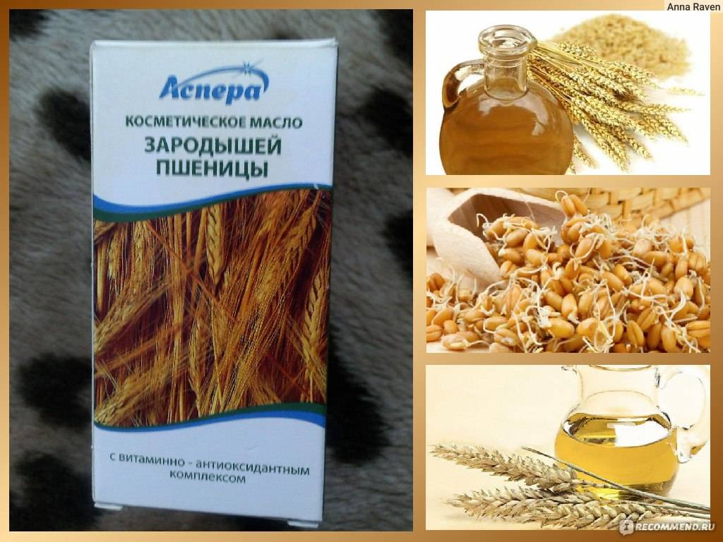 Масло зародышей пшеницы для лица от морщин - правила применения и рецепты