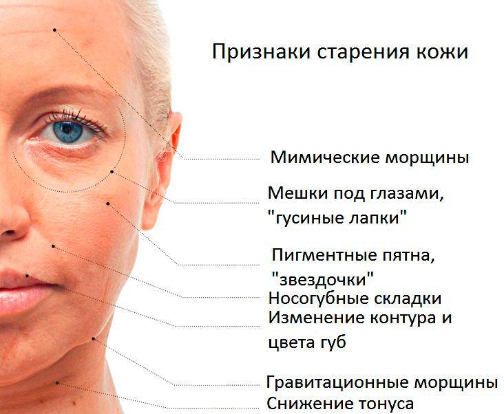 Как предотвратить старение кожи: что делать, чтобы спасти лицо от старости